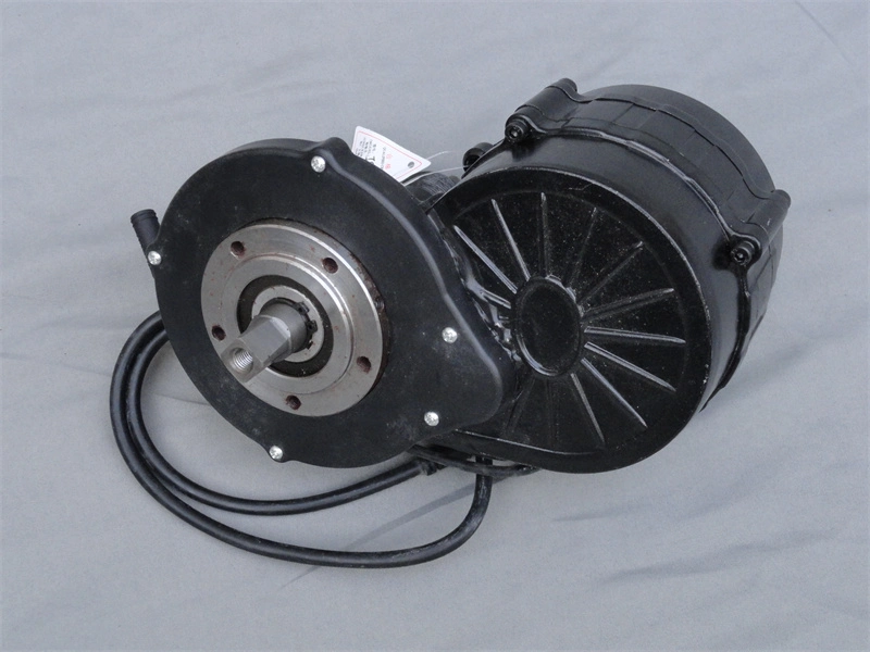 Ebike Hub Brusshless MID Motor Electric Bike