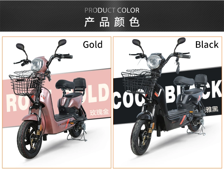 Adult Electric Bike for Sale China Factory