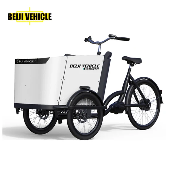 Fabrikpreis 36V/19,2 Ah Lithium-Batterie-Frachtlieferungsfahrrad Aluminiumrahmen Elektro-Lastenfahrrad zum Tragen von Kindern