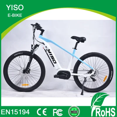 26 Zoll chinesisches billiges E-Fahrrad mit versteckter Batterie und mittlerem Fahrer